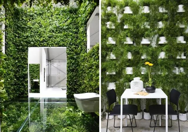 綠植長在墻上，個性又省地方！